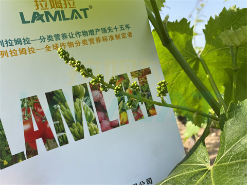 水溶肥，拉姆拉，翠姆