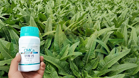 水溶肥，拉姆拉，翠姆