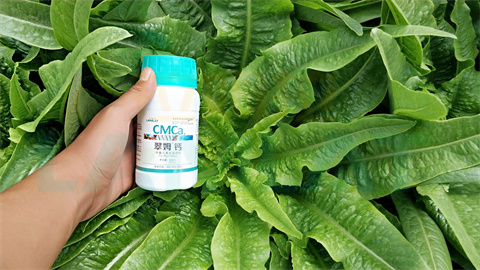 水溶肥，拉姆拉，翠姆