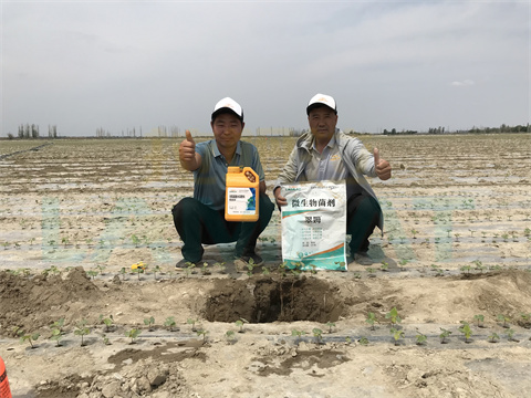 水溶肥，拉姆拉，翠姆