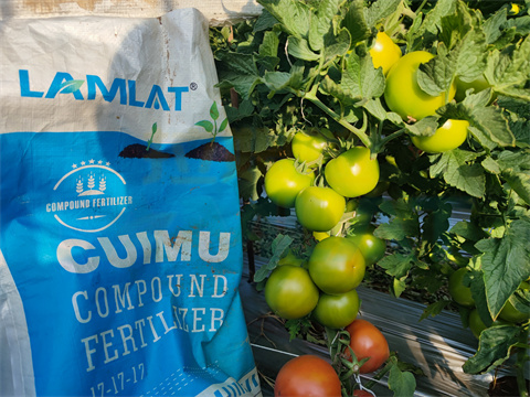 水溶肥，拉姆拉，翠姆