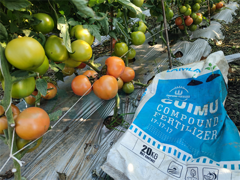 水溶肥，拉姆拉，翠姆