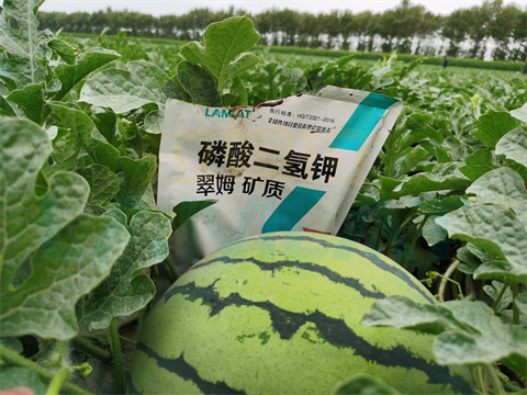 水溶肥，拉姆拉，翠姆