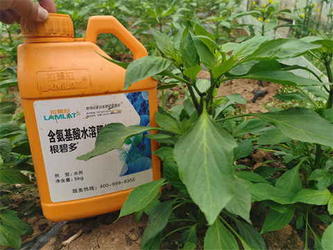 水溶肥，翠姆，拉姆拉
