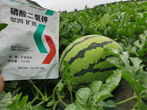 水溶肥，翠姆，拉姆拉