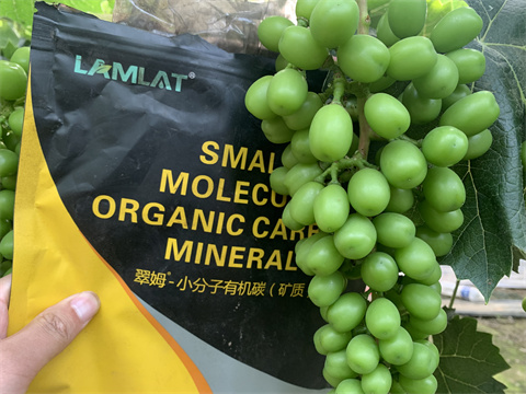 礦源黃腐酸鉀,翠姆,水溶肥廠家 礦源黃腐酸鉀,翠姆,水溶肥廠家