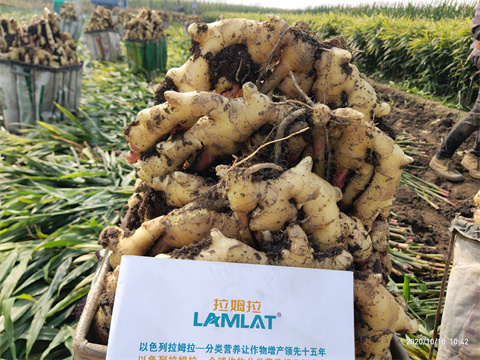 水溶肥廠家,翠姆水溶肥,拉姆拉 水溶肥廠家,翠姆水溶肥,拉姆拉