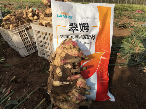 水溶肥廠家,翠姆水溶肥,拉姆拉 水溶肥廠家,翠姆水溶肥,拉姆拉