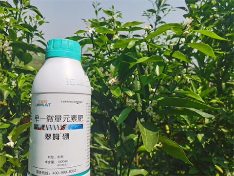 水溶肥,翠姆,柑橘水溶肥 水溶肥,翠姆,柑橘水溶肥