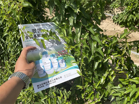 葉面肥,翠姆,拉姆拉水溶肥 葉面肥,翠姆,拉姆拉水溶肥