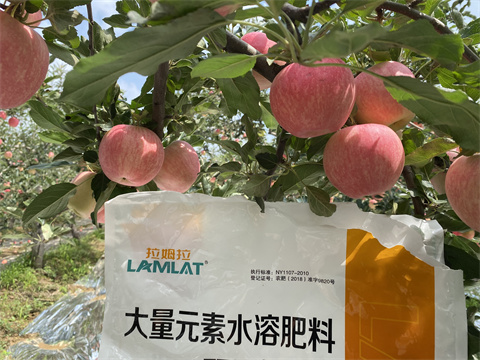 水溶肥價格,翠姆,蘋果種植 水溶肥價格,翠姆,蘋果種植
