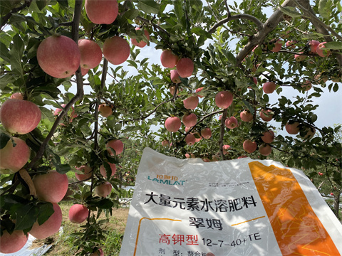 水溶肥價格,翠姆,蘋果種植 水溶肥價格,翠姆,蘋果種植