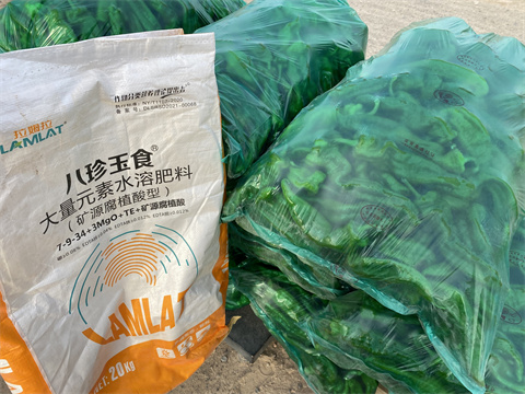 水溶肥品牌,翠姆,辣椒種植 水溶肥品牌,翠姆,辣椒種植