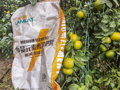 水溶肥,翠姆,柑橘種植 水溶肥,翠姆,柑橘種植