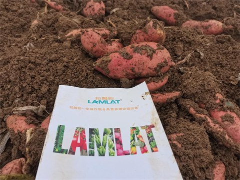有機(jī)水溶肥料,翠姆,拉姆拉 有機(jī)水溶肥料,翠姆,拉姆拉