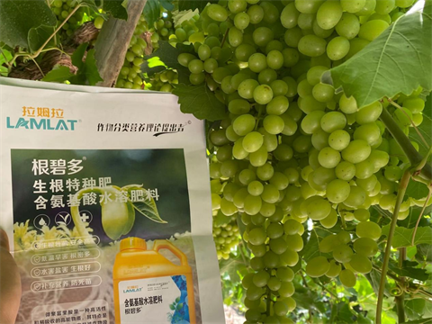 水溶肥,翠姆,葡萄水溶肥 水溶肥,翠姆,葡萄水溶肥