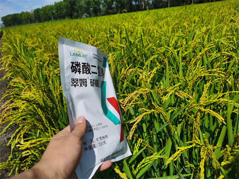 磷酸二氫鉀,翠姆,水稻葉面肥 磷酸二氫鉀,翠姆,水稻葉面肥