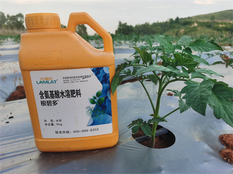 水溶肥,翠姆,拉姆拉 水溶肥,翠姆,拉姆拉