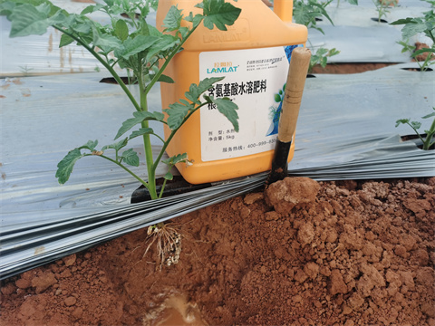 水溶肥,翠姆,拉姆拉 水溶肥,翠姆,拉姆拉