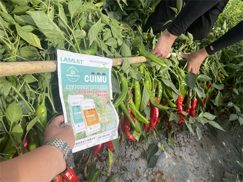 水溶肥,翠姆,辣椒種植 水溶肥,翠姆,辣椒種植