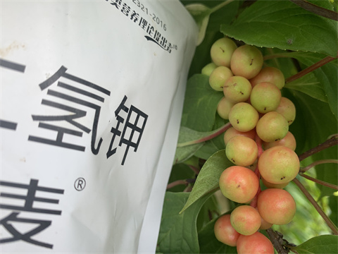 水溶肥價(jià)格,伯示麥,拉姆拉 水溶肥價(jià)格,伯示麥,拉姆拉