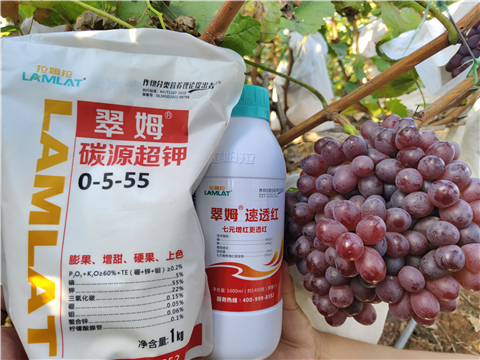 水溶肥,翠姆,葡萄種植 水溶肥,翠姆,葡萄種植