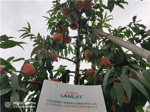 水溶肥,翠姆,桃子水溶肥 水溶肥,翠姆,桃子水溶肥