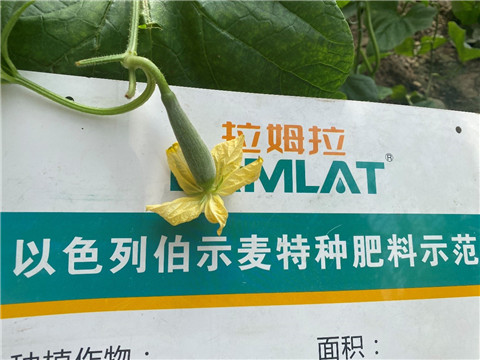 水溶肥,伯示麥,羊角蜜水溶肥 水溶肥,伯示麥,羊角蜜水溶肥