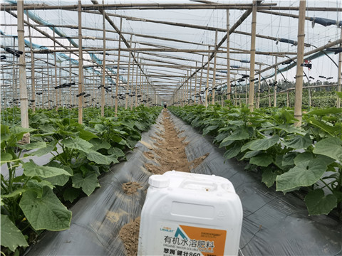 水溶肥,翠姆,拉姆拉 水溶肥,翠姆,拉姆拉