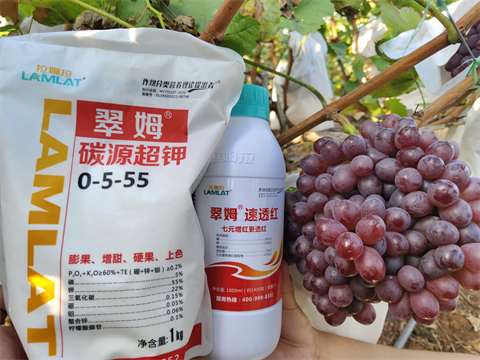 進(jìn)口水溶肥,翠姆,葡萄水溶肥 進(jìn)口水溶肥,翠姆,葡萄水溶肥