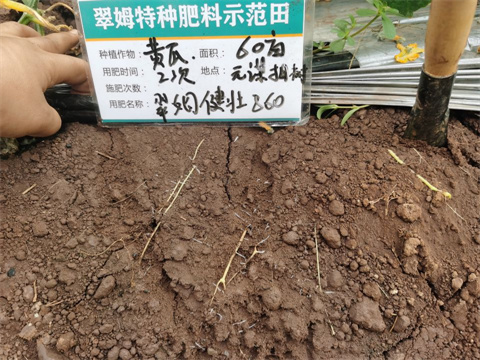 水溶肥廠家,翠姆,拉姆拉 水溶肥廠家,翠姆,拉姆拉