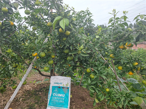 水溶肥,翠姆,愛媛水溶肥 水溶肥,翠姆,愛媛水溶肥