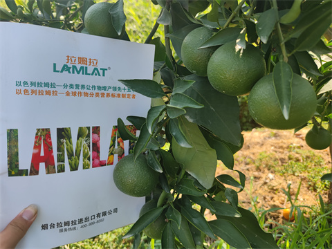 水溶肥,翠姆,愛媛水溶肥 水溶肥,翠姆,愛媛水溶肥