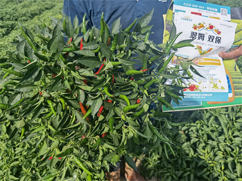 水溶肥品牌,翠姆,拉姆拉 水溶肥品牌,翠姆,拉姆拉