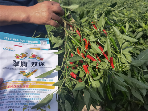 水溶肥品牌,翠姆,拉姆拉 水溶肥品牌,翠姆,拉姆拉