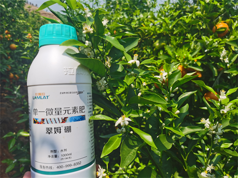 水溶肥,翠姆,柑橘種植 水溶肥,翠姆,柑橘種植