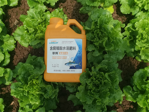 水溶肥,翠姆，蔬菜水溶肥