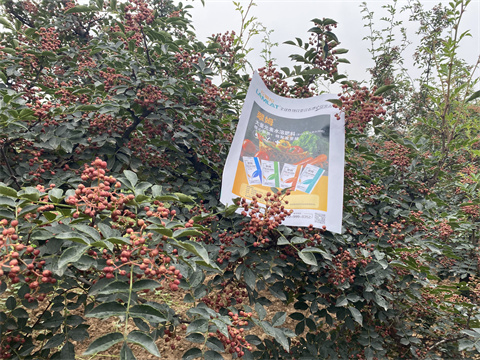 水溶肥,翠姆,拉姆拉 水溶肥,翠姆,拉姆拉