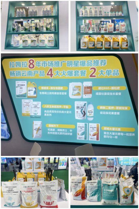 翠姆,拉姆拉,云南植保會 翠姆,拉姆拉,云南植保會