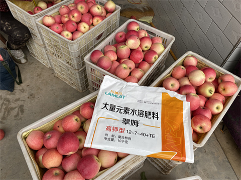 水溶肥,翠姆,蘋(píng)果種植 水溶肥,翠姆,蘋(píng)果種植