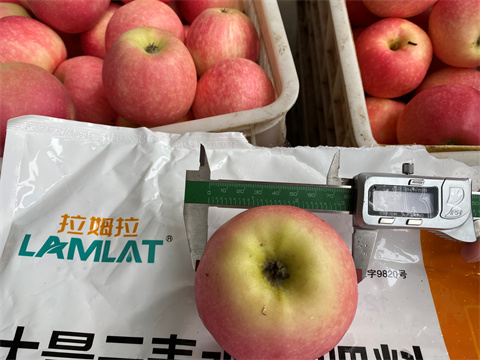 水溶肥品牌,翠姆,蘋果種植 水溶肥品牌,翠姆,蘋果種植