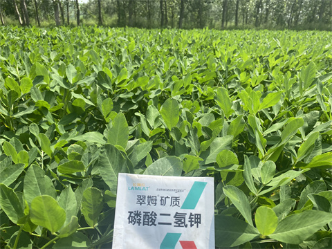 水溶肥,翠姆,拉姆拉 水溶肥,翠姆,拉姆拉