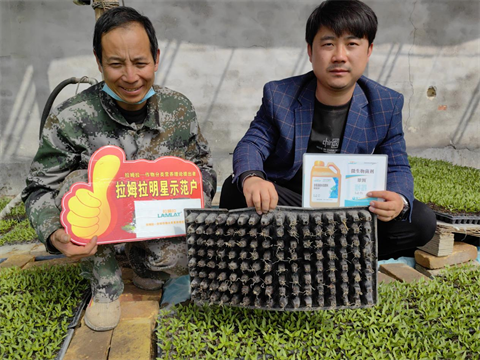 水溶肥,翠姆,辣椒育苗 水溶肥,翠姆,辣椒育苗