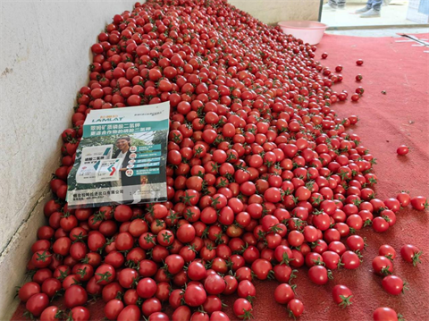 水溶肥,翠姆,拉姆拉 水溶肥,翠姆,拉姆拉