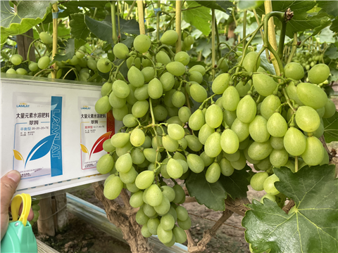 水溶肥,大量元素水溶肥,翠姆 水溶肥,大量元素水溶肥,翠姆