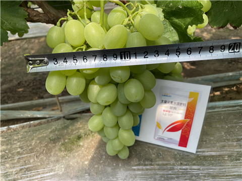 水溶肥,大量元素水溶肥,翠姆 水溶肥,大量元素水溶肥,翠姆