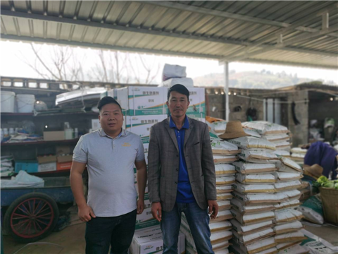 水溶肥,蔬菜種植,翠姆 水溶肥,蔬菜種植,翠姆