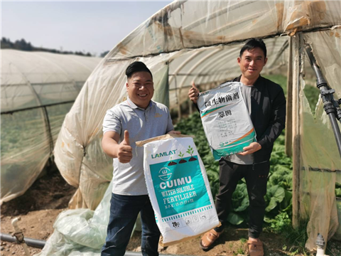 葉菜施肥,水溶肥,翠姆 葉菜施肥,水溶肥,翠姆