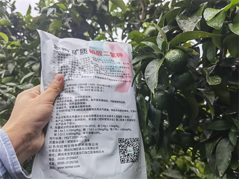 磷酸二氫鉀,柑橘,翠姆 磷酸二氫鉀,柑橘,翠姆