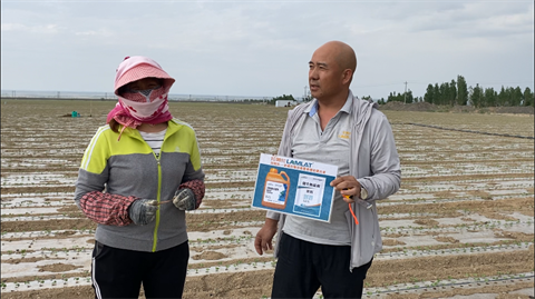 棉花種植,根碧多,拉姆拉水溶肥 棉花種植,根碧多,拉姆拉水溶肥